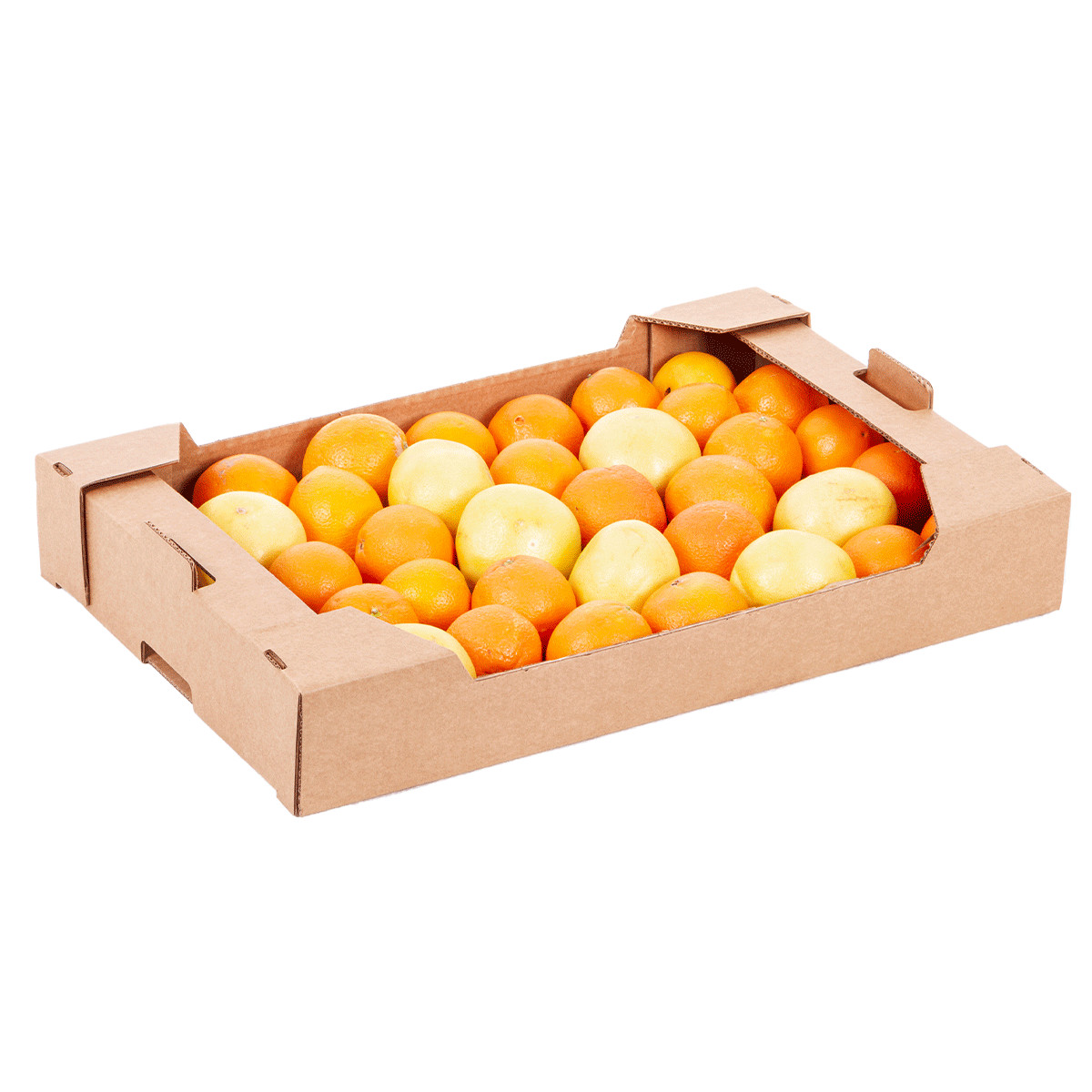 Cassetta in cartone per il trasporto alimentare 60x40 cm