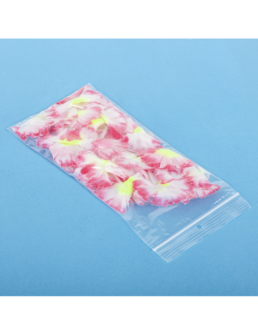 Sacchetti Con Chiusura A Pressione | Sacchetti In PE Con Chiusura - Foto 7