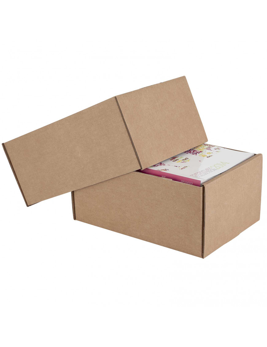 Scatole Cartone Telescopiche Propac - 60x20x60/100 Cm, Colore Avana, Set Da 10 Pezzi